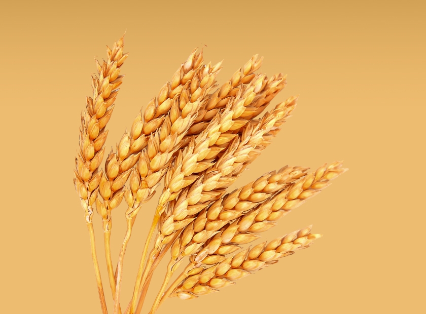 Uralchem agricultural products website project image